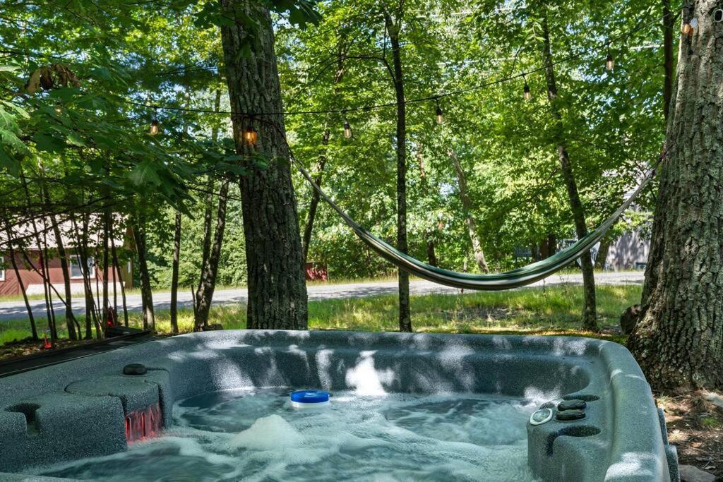 The Black Forest - Hot Tub, Hiking, Kayak East Stroudsburg