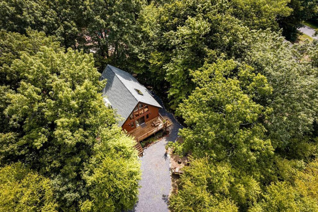 The Black Forest - Hot Tub, Hiking, Kayak *